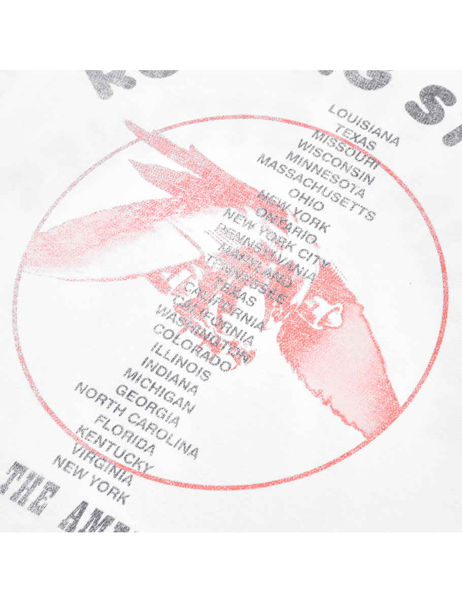 Tour 75 Kids T-Shirt Back Detail