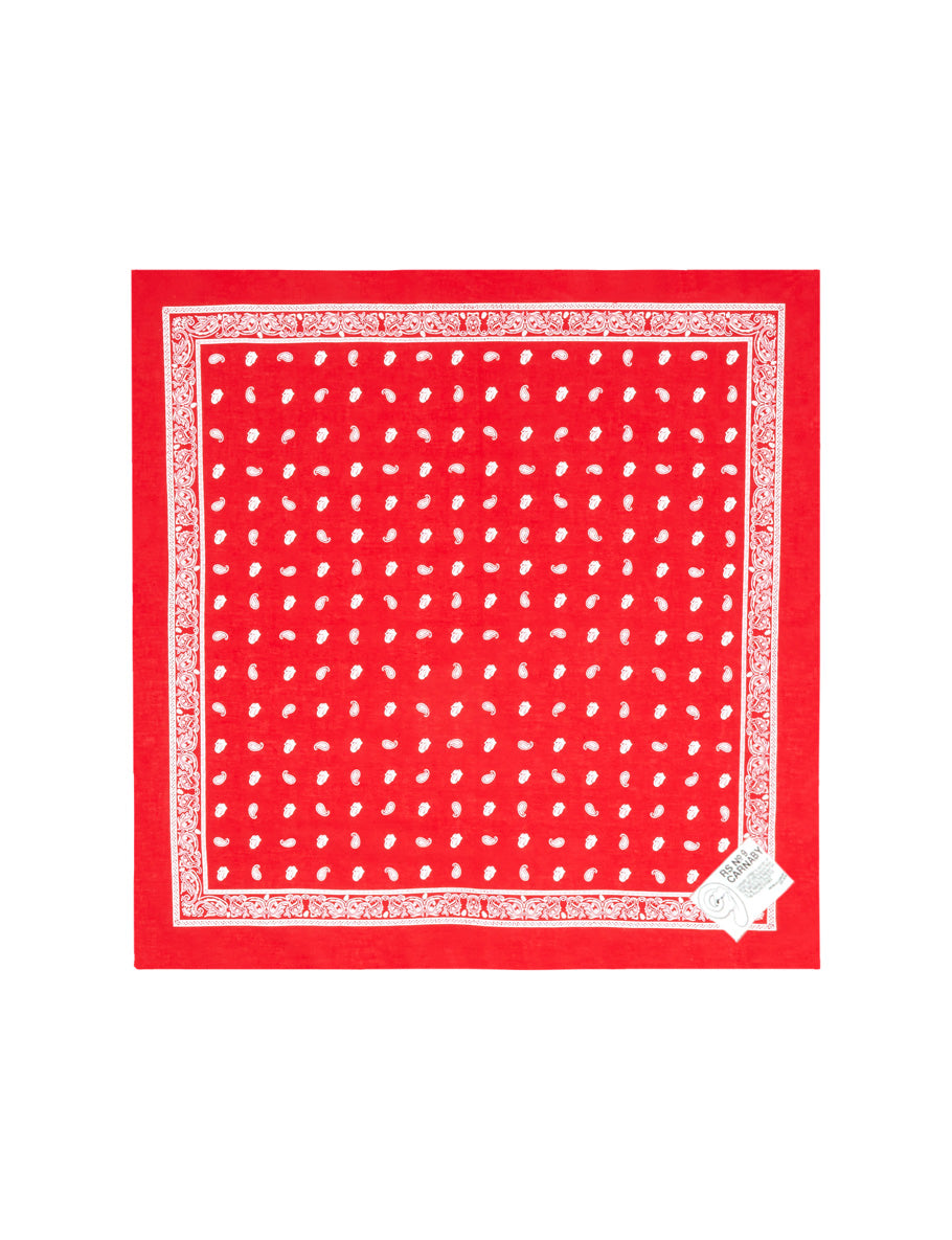 Red Paisley Bandana
