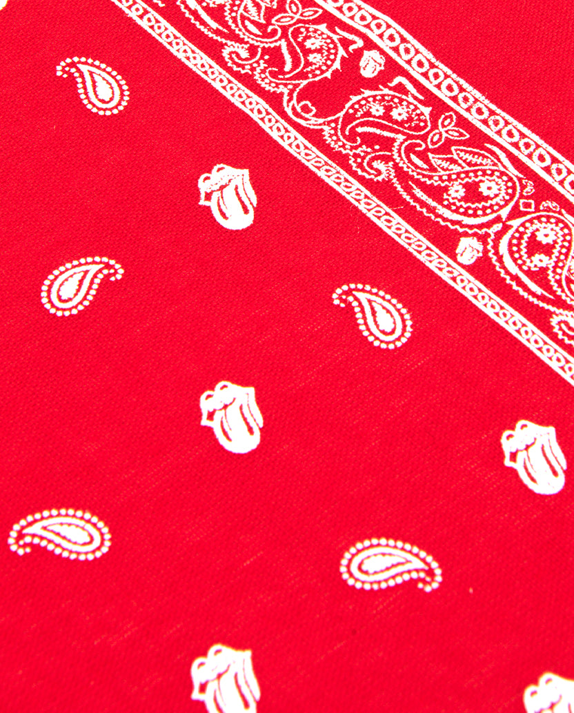 Red Paisley Bandana Border Detail