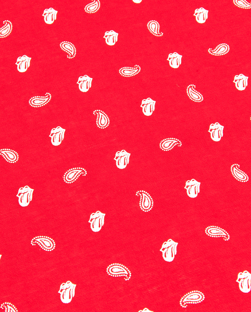 Red Paisley Bandana Pattern Detail