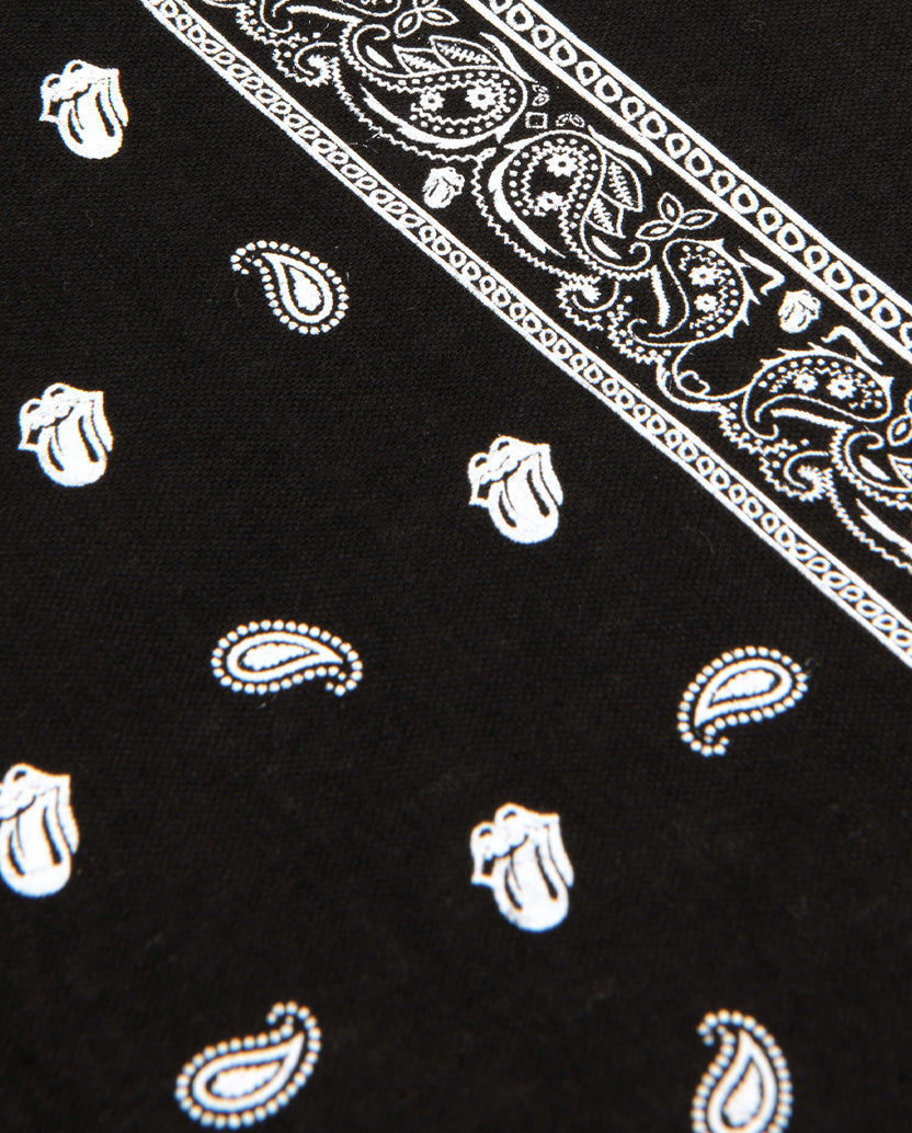 Black Paisley Bandana Border Detail