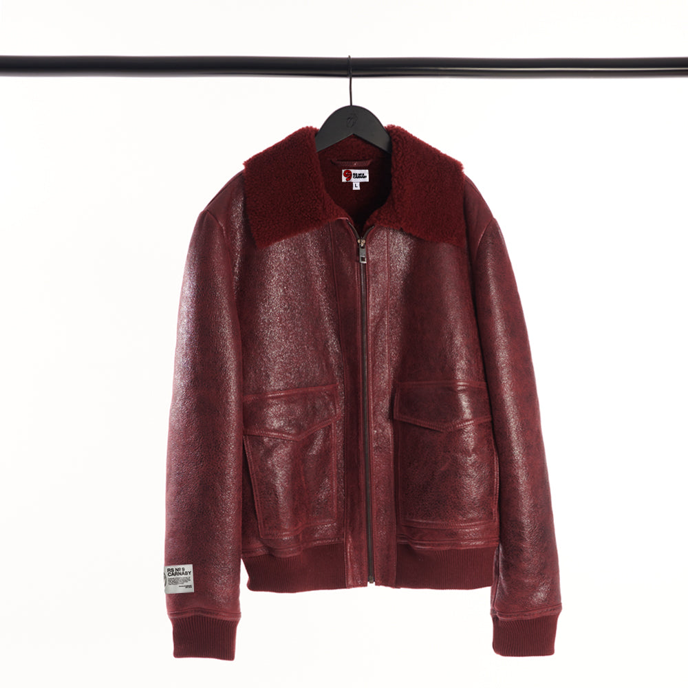 Classic Logo Shearling Collar Aviator Jacket Front