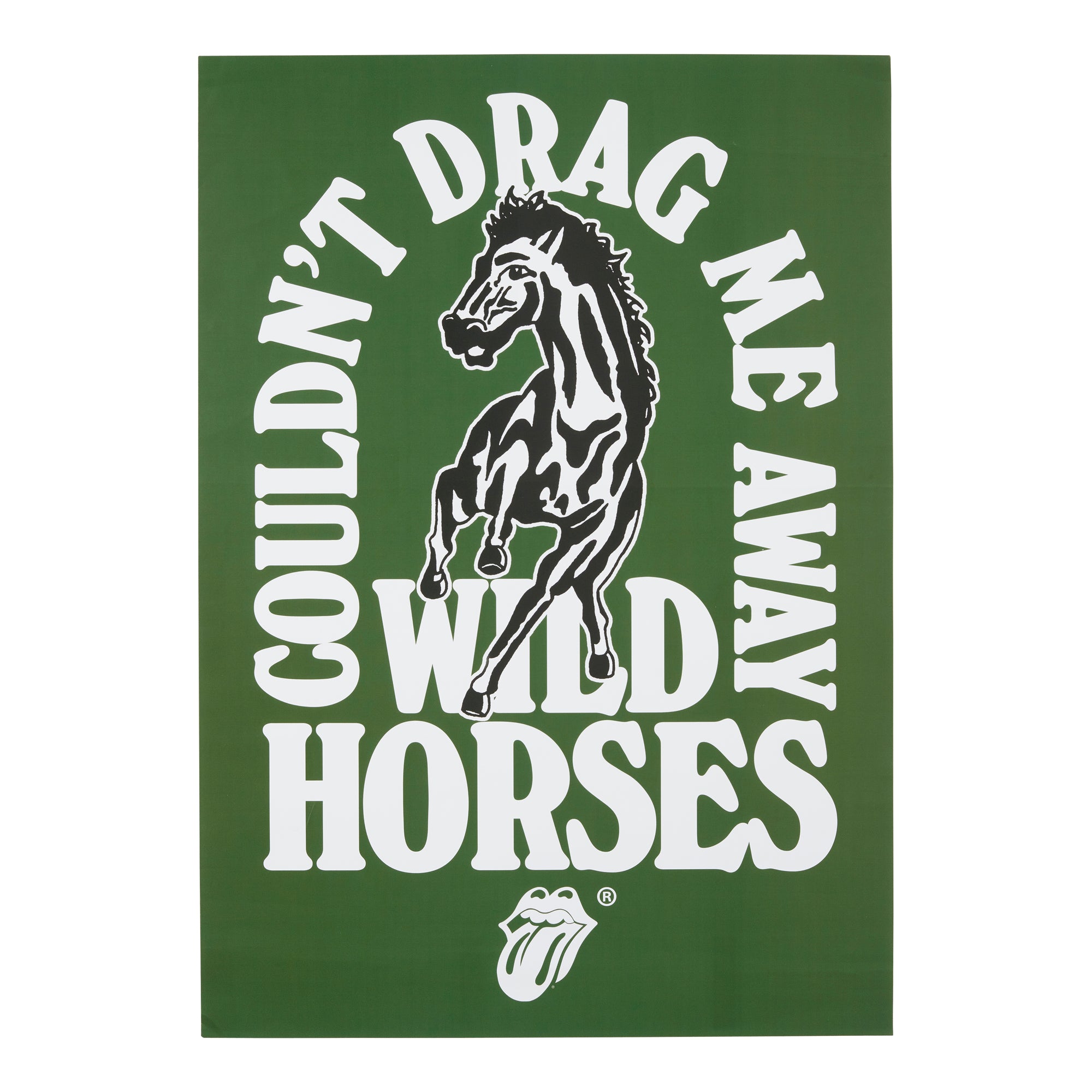Wild Horses Lyric Poster